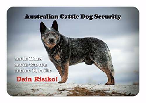 Merchandise for Fans Warnschild - Schild 20x30cm Motiv: Australian Cattle Dog Security (01) von Merchandise for Fans
