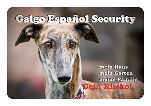 Merchandise for Fans Warnschild - Schild 30x40cm Motiv: Galgo Espanol Windhund Security (01) von Merchandise for Fans