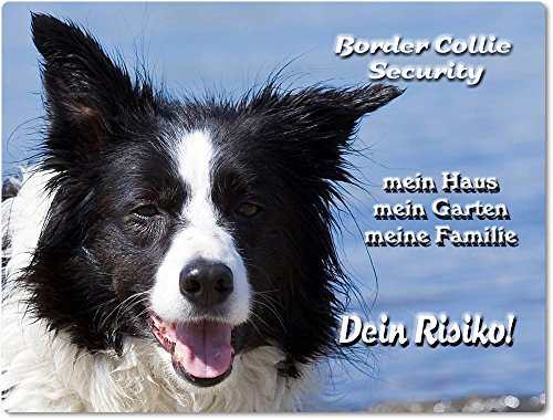 Merchandise for Fans Warnschild - Schild aus Aluminium 20x30cm - Motiv: Border Collie Security (01) von Merchandise for Fans
