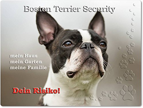 Merchandise for Fans Warnschild - Schild aus Aluminium 20x30cm - Motiv: Boston Terrier Security (01) von Merchandise for Fans