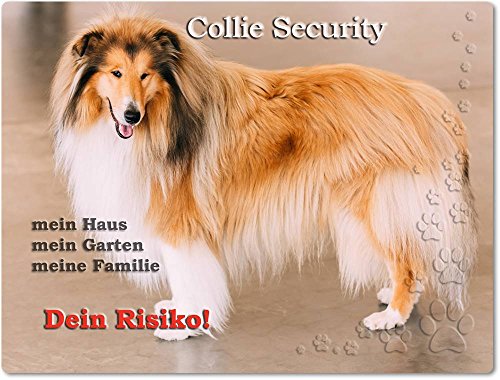 Merchandise for Fans Warnschild - Schild aus Aluminium - 20x30cm Motiv: Collie Security (02) von Merchandise for Fans