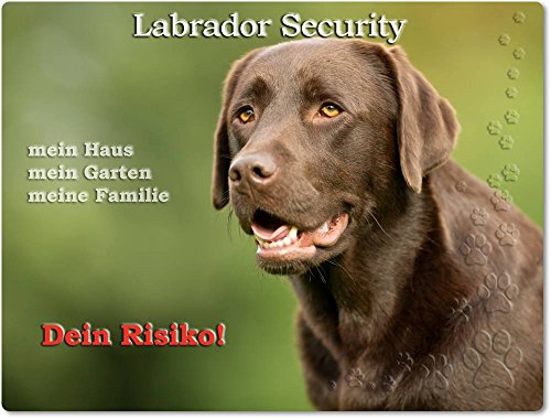 Merchandise for Fans Warnschild - Schild aus Aluminium 30x40cm - Motiv: Labrador Security (02) von Merchandise for Fans