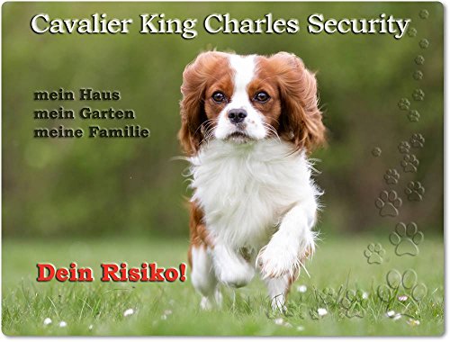 Merchandise for Fans Warnschild - Schild aus Aluminium Größe: 20x30cm - Motiv: Cavalier King Charles Spaniel Security (01) von Merchandise for Fans