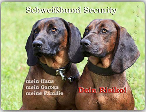 Merchandise for Fans Warnschild - Schild aus Aluminium - Motiv: Bayerischer Gebirgsschweißhund Security (01) - Größe: 30x20cm von Merchandise for Fans