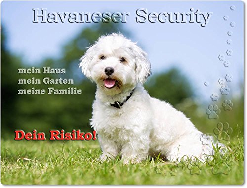 Merchandise for Fans Warnschild - Schild aus Aluminium - Motiv: Bichon Havanese/Havaneser Security (01) von Merchandise for Fans