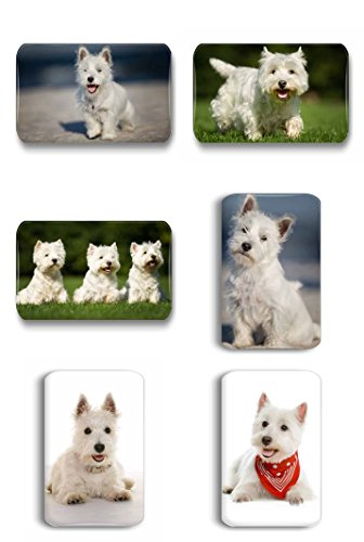 Merchandise for Fans West Highland White Terrier - 6 rechteckige Kühlschrankmagnete 7X 4,5 cm - 01 Merchandise for Fans West Highland White Terrier - 6 rechteckige Kühlschrankmagnete 7X 4,5 cm - 01 von Merchandise for Fans