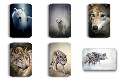 Merchandise for Fans Wolf Grauwolf Porträt - 6 Kühlschrankmagnete 7X 4,5 cm - 01 von Merchandise for Fans