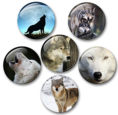 Wolf Wölfe Grauwolf europäischer Wolf - 6 große Kühlschrankmagnete [ 01 ] von Merchandise for Fans