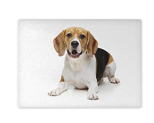 Schneidebrett/Glasschneidebrett 20x28x0,4cm - Motiv: Beagle tricolor liegend | 03 Schneidebrett/Glasschneidebrett 20x28x0,4cm - Motiv: Beagle tricolor liegend | 03 von Merchandise for Fans