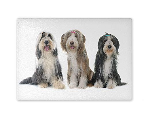 Schneidebrett/Glasschneidebrett 20x28x0,4cm - Motiv: Bearded Collie drei Tiere sitzend | 02 von Merchandise for Fans