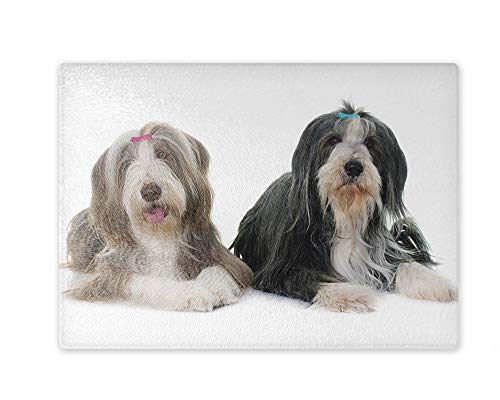 Schneidebrett/Glasschneidebrett 20x28x0,4cm - Motiv: Bearded Collie zwei Tiere liegend | 01 von Merchandise for Fans