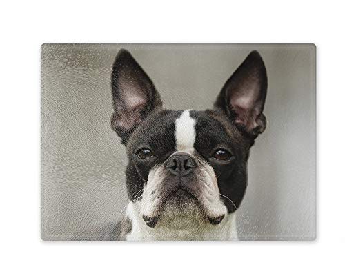 Schneidebrett/Glasschneidebrett 20x28x0,4cm - Motiv: Boston Terrier Porträt | 02 von Merchandise for Fans