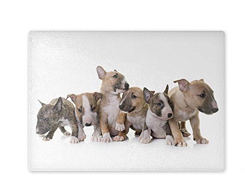 Schneidebrett/Glasschneidebrett 20x28x0,4cm - Motiv: Bullterrier Welpen | 01 Schneidebrett/Glasschneidebrett 20x28x0,4cm - Motiv: Bullterrier Welpen | 01 von Merchandise for Fans