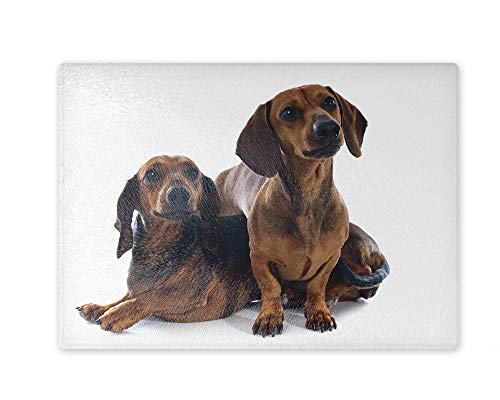 Schneidebrett/Glasschneidebrett 20x28x0,4cm - Motiv: Dackel zwei Glatthaardackel | 05 Schneidebrett/Glasschneidebrett 20x28x0,4cm - Motiv: Dackel zwei Glatthaardackel | 05 von Merchandise for Fans