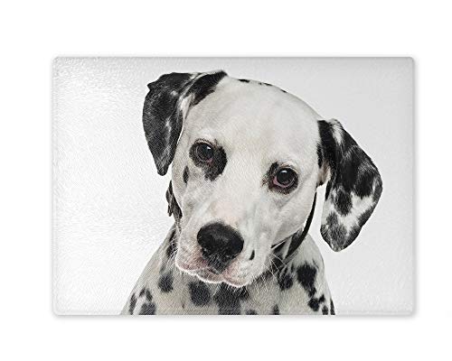 Schneidebrett/Glasschneidebrett 20x28x0,4cm - Motiv: Dalmatiner | 02 Schneidebrett/Glasschneidebrett 20x28x0,4cm - Motiv: Dalmatiner | 02 von Merchandise for Fans