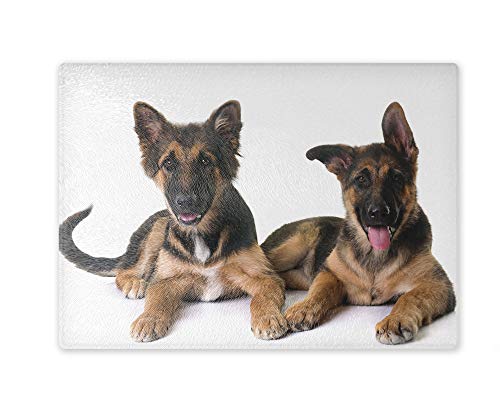 Schneidebrett/Glasschneidebrett 20x28x0,4cm - Motiv: Deutscher Schäferhund zwei Junghunde | 05 Schneidebrett/Glasschneidebrett 20x28x0,4cm - Motiv: Deutscher Schäferhund zwei Junghunde | 05 von Merchandise for Fans