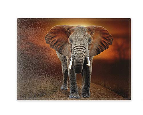 Schneidebrett/Glasschneidebrett 20x28x0,4cm - Motiv: Elefant bei Sonnenuntergang | 02 von Merchandise for Fans
