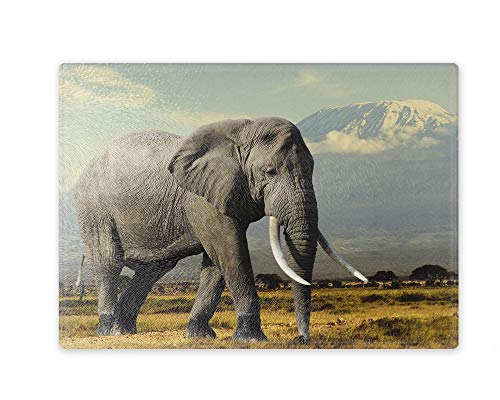 Schneidebrett/Glasschneidebrett 20x28x0,4cm - Motiv: Elefant in Kenia | 01 Schneidebrett/Glasschneidebrett 20x28x0,4cm - Motiv: Elefant in Kenia | 01 von Merchandise for Fans