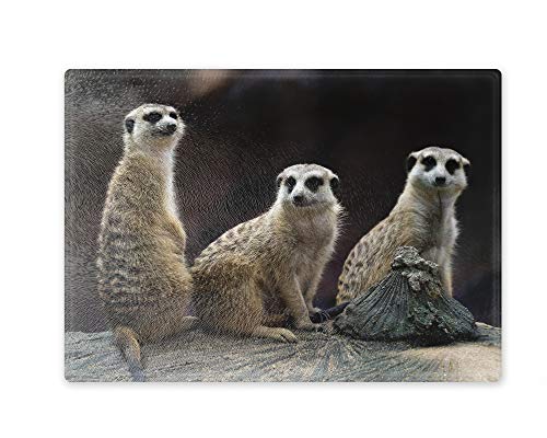 Schneidebrett/Glasschneidebrett 20x28x0,4cm - Motiv: Erdmännchen Gruppe sitzt beisammen | 03 Schneidebrett/Glasschneidebrett 20x28x0,4cm - Motiv: Erdmännchen Gruppe sitzt beisammen | 03 von Merchandise for Fans