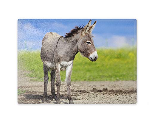 Schneidebrett/Glasschneidebrett 20x28x0,4cm - Motiv: Esel stehend | 02 Schneidebrett/Glasschneidebrett 20x28x0,4cm - Motiv: Esel stehend | 02 von Merchandise for Fans