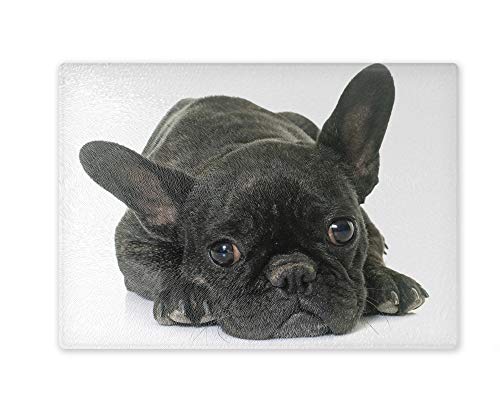 Schneidebrett/Glasschneidebrett 20x28x0,4cm - Motiv: Französische Bulldogge schwarz liegend nachdenklich | 01 von Merchandise for Fans