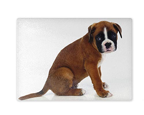 Schneidebrett/Glasschneidebrett 20x28x0,4cm - Motiv: Hund Boxer Welpe sitzend | 03 Schneidebrett/Glasschneidebrett 20x28x0,4cm - Motiv: Hund Boxer Welpe sitzend | 03 von Merchandise for Fans