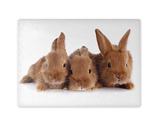 Schneidebrett/Glasschneidebrett 20x28x0,4cm - Motiv: Kaninchen drei braune Jungtiere | 01 Schneidebrett/Glasschneidebrett 20x28x0,4cm - Motiv: Kaninchen drei braune Jungtiere | 01 von Merchandise for Fans