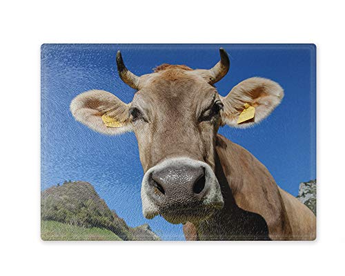 Schneidebrett/Glasschneidebrett 20x28x0,4cm - Motiv: Kuh sieht in die Kamera | 01 Schneidebrett/Glasschneidebrett 20x28x0,4cm - Motiv: Kuh sieht in die Kamera | 01 von Merchandise for Fans