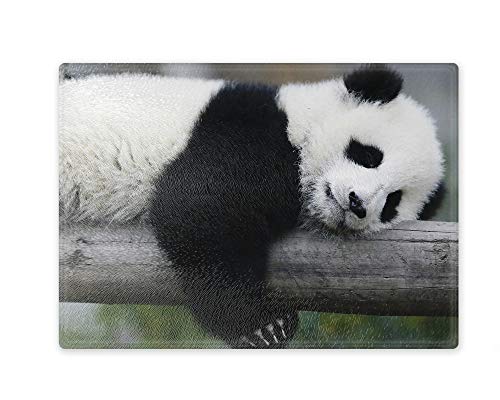 Schneidebrett/Glasschneidebrett 20x28x0,4cm - Motiv: Panda liegend | 01 von Merchandise for Fans