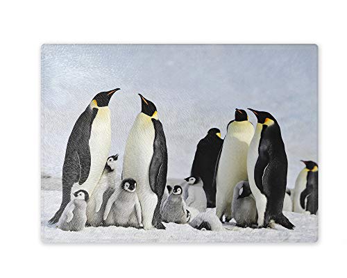 Schneidebrett/Glasschneidebrett 20x28x0,4cm - Motiv: Pinguine in der Antarktis | 02 von Merchandise for Fans