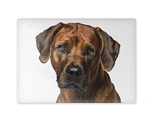 Schneidebrett/Glasschneidebrett 20x28x0,4cm - Motiv: Rhodesian Ridgeback Porträt | 02 Schneidebrett/Glasschneidebrett 20x28x0,4cm - Motiv: Rhodesian Ridgeback Porträt | 02 von Merchandise for Fans