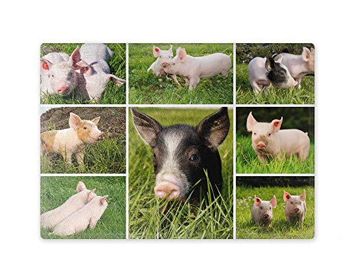 Schneidebrett/Glasschneidebrett 20x28x0,4cm - Motiv: Schwein Hausschwein Collage | 02 von Merchandise for Fans