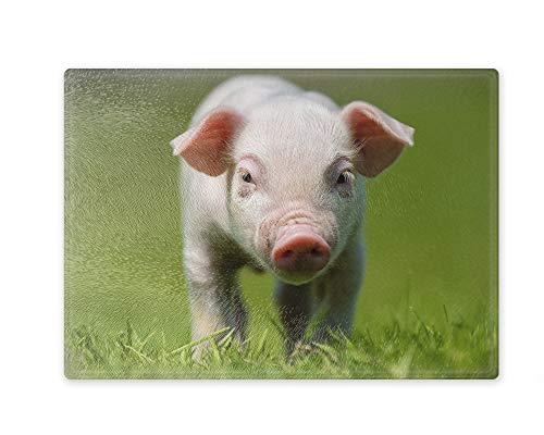 Schneidebrett/Glasschneidebrett 20x28x0,4cm - Motiv: Schwein Hausschwein Ferkel auf einer Wiese | 01 von Merchandise for Fans