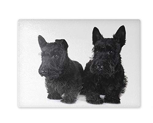 Schneidebrett/Glasschneidebrett 20x28x0,4cm - Motiv: Scottish Terrier zwei Tiere | 01 von Merchandise for Fans