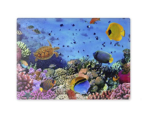 Schneidebrett/Glasschneidebrett 20x28x0,4cm - Motiv: Unterwasser am Korallenriff | 04 von Merchandise for Fans