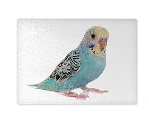 Schneidebrett/Glasschneidebrett 20x28x0,4cm - Motiv: Wellensittich blau/weiß | 02 Schneidebrett/Glasschneidebrett 20x28x0,4cm - Motiv: Wellensittich blau/weiß | 02 von Merchandise for Fans