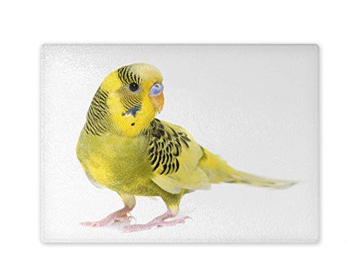 Schneidebrett/Glasschneidebrett 20x28x0,4cm - Motiv: Wellensittich grün/gelb | 01 Schneidebrett/Glasschneidebrett 20x28x0,4cm - Motiv: Wellensittich grün/gelb | 01 von Merchandise for Fans
