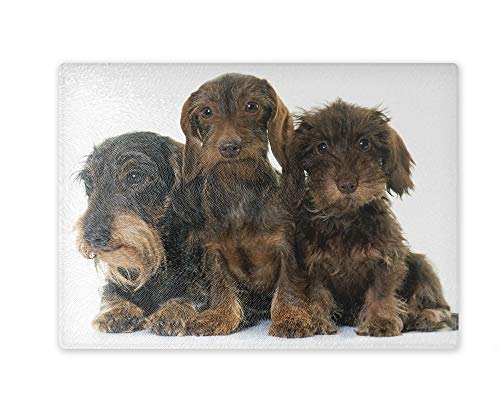 Schneidebrett/Glasschneidebrett 30x39x0,4cm- Motiv: Dackel drei Rauhhaardackel | 04 Schneidebrett/Glasschneidebrett 30x39x0,4cm- Motiv: Dackel drei Rauhhaardackel | 04 von Merchandise for Fans