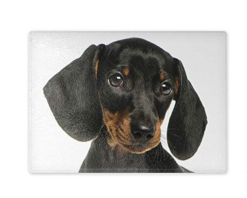 Schneidebrett/Glasschneidebrett 30x39x0,4cm- Motiv: Dackel junger Glatthaardackel| 02 Schneidebrett/Glasschneidebrett 30x39x0,4cm- Motiv: Dackel junger Glatthaardackel| 02 von Merchandise for Fans