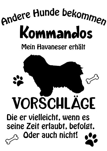 Wandtattoo Autoaufkleber Aufkleber Sticker Innen und Außen selbstklebend konturgeschnitten viele Farben Motiv: Spruch lustige Kommandos Havaneser von Merchandise for Fans