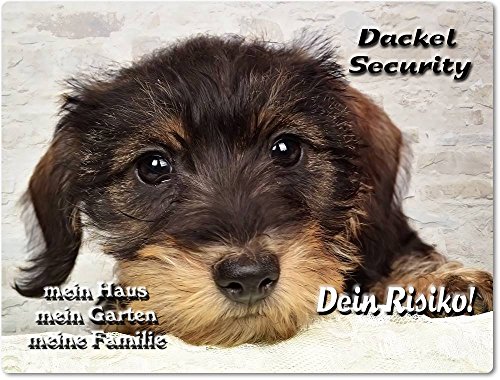 Merchandise for Fans Warnschild - Schild aus Aluminium - Motiv: Rauhhaardackel Security - Größe: 15x20cm (01) von Merchandise for Fans
