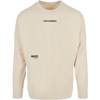 Merchcode Longsleeve "Merchcode APOH - Stay Surreal Slogan Oversized Longsleeve", (1 tlg.) von Merchcode