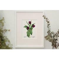 Lila Tulpen - Eternal Love Vertikaler Blumendruck von MeredithRaifordArt