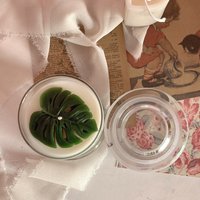 Merian Es Botanical Candel Collection/Monstera Soja Behälter Kerze Design Duftkerze von MerianStudio