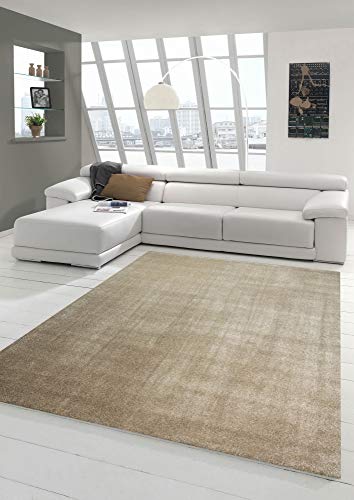 Wohnzimmer Teppich modern Kurzflor mit Uni Design in Taupe Größe 160x230 cm von Merinos