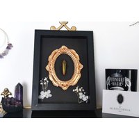 Juwelkäfer | Chrysochroa Im Ornamentrahmen | Taxidermie Art Gothic Alternative Witchy Deko Juwelkäfer | Chrysochroa Im Ornamentrahmen | Taxidermie Art Gothic Alternative Witchy Deko von Meriscordia