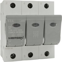 Mersen Lasttrennschalter NEOZED D02 63A/230/400V 3-p 05863.063000 von Mersen