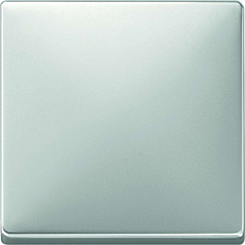 Merten 412146 Wippe, Edelstahl, System Fläche von Merten