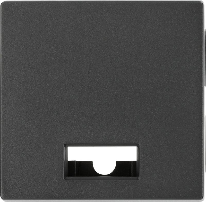Merten Kontrollwippe System M, anthrazit, 433814 von Merten