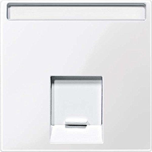 Merten MEG4573-0319 Zentralpl. f. Schneider Electric-Connector 1fach, polarweiß glänzend, System M von Merten